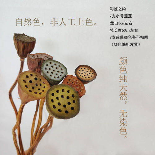 莲蓬干花松果云南干花束配花