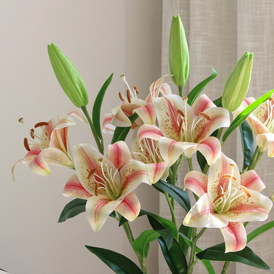 PU家居店面摆放香水百合