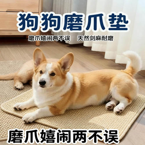 狗磨爪板指甲脚趾宠物猫咪