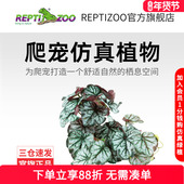 瑞皮Reptizoo爬宠箱造景仿真植物躲避攀爬摆件黄缘龟缸装 饰假绿植