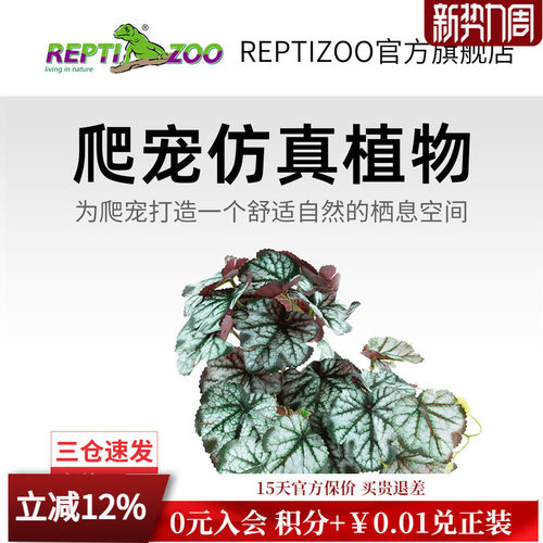 REPTIZOO瑞皮爬宠箱造景植物
