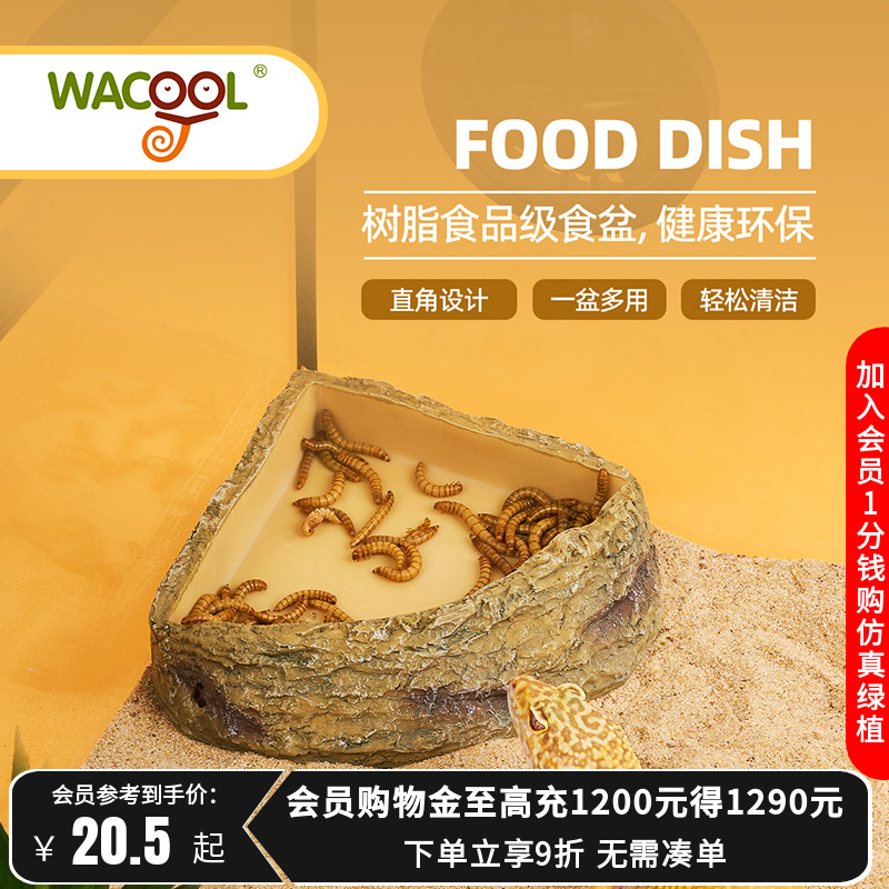 玩酷爬宠食盆水盆造景