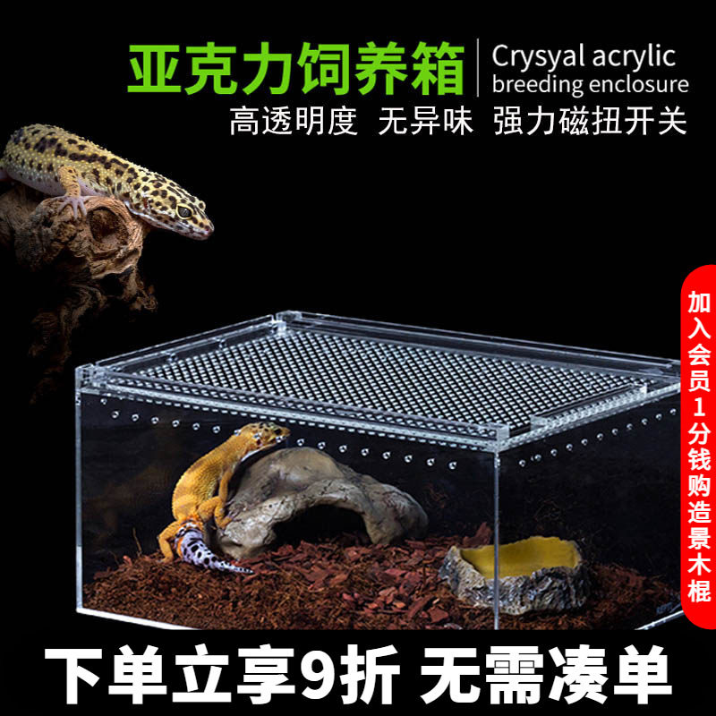 瑞皮Reptizoo亚克力饲养盒蜗牛豹纹守宫角蛙蜘蛛蚕宝宝昆虫爬宠箱