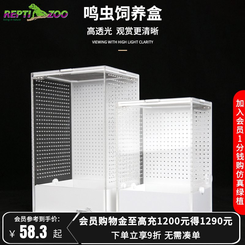 瑞皮reptizoo蝈蝈笼子螳螂饲养