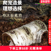 瑞皮Reptizoo桦木躲避洞蜥蜴守宫蜘蛛蛇爬虫躲避仿真树脂造景爬宠