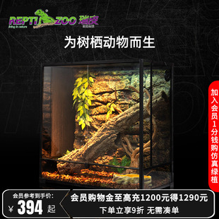 瑞皮Reptizoo树栖饲养箱角蛙睫角守宫鬓狮蜥蜴蛇爬宠虫雨林缸造景