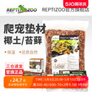 瑞皮Reptizoo椰砖爬虫箱乌龟冬眠寄居蟹专用椰土椰壳垫材爬宠垫料