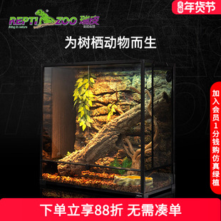 瑞皮Reptizoo树栖饲养箱角蛙睫角守宫鬓狮蜥蜴蛇爬宠虫雨林缸造景