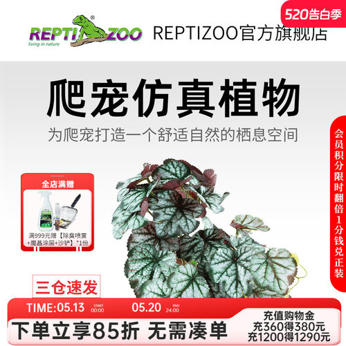 瑞皮Reptizoo爬宠箱造景植物