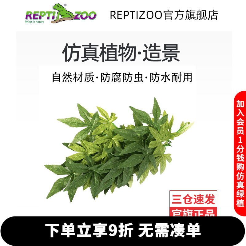 reptizoo爬宠箱守宫藤蔓鱼缸造景
