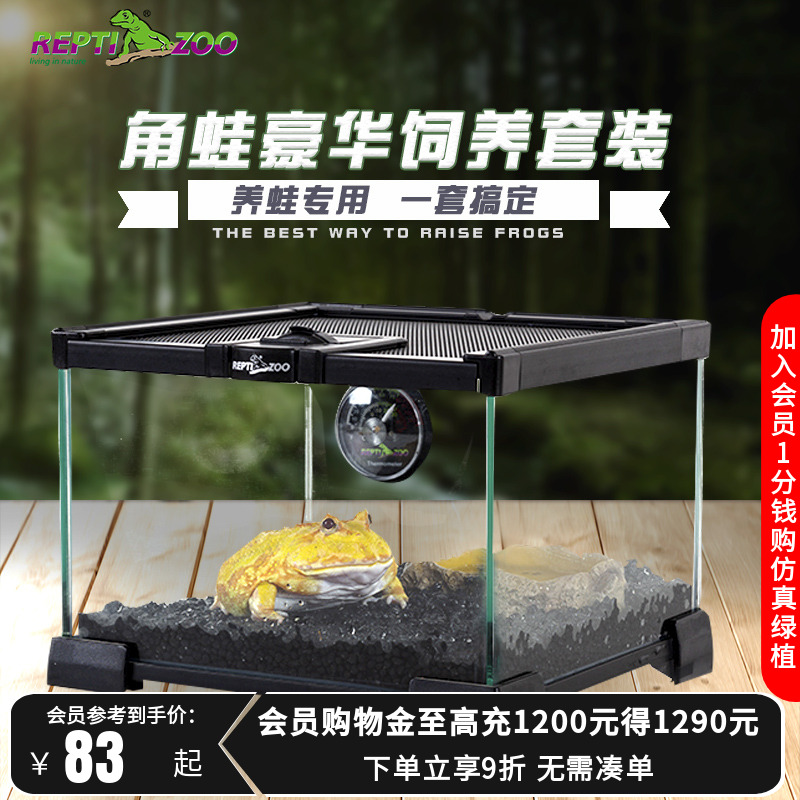 reptizoo角蛙饲养箱造景