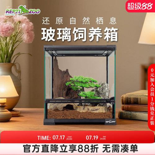 reptizoo蜥蜴饲养宠鬃狮变色龙