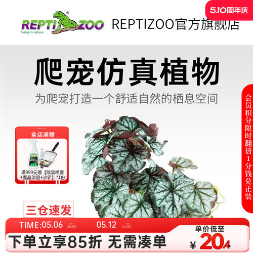 瑞皮Reptizoo爬宠箱造景植物