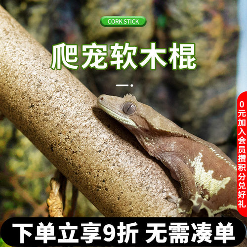 REPTIZOO瑞皮树栖爬宠攀爬软木棍