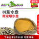 Reptizoo瑞皮爬缸树脂水盘爬虫水盆造景爬宠蜥蜴食盆蛇岩石饮水盆