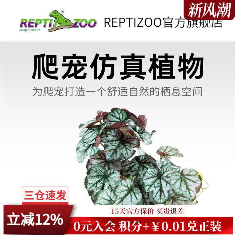 REPTIZOO瑞皮爬宠箱造景植物										