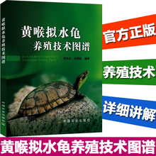 正版现货 黄喉拟水龟养殖技术图谱 养龟模式多样性 龟卵人工孵化 龟养殖教程书籍 养龟专业户阅读参考书籍 养龟技术 龟养殖技术