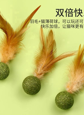 猫薄荷羽毛逗猫棒自嗨磨牙排毛
