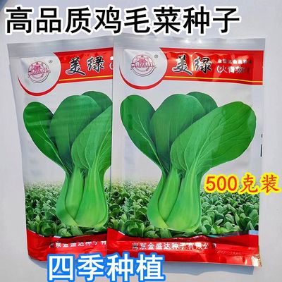 美绿火青菜小白菜种子抗病抗热耐寒耐雨四季播种可盆栽小青菜种籽