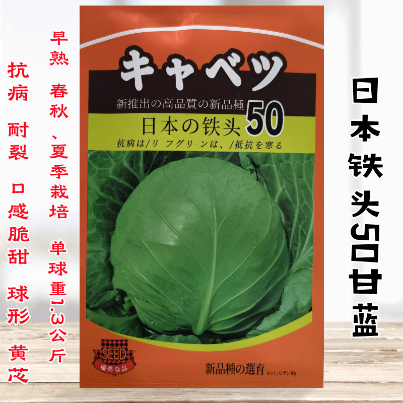 日本铁头 50天成熟圆球形甘蓝种子 早熟包菜卷心菜莲花白种子抗寒