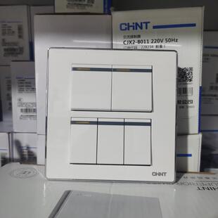 正泰118型墙壁开关插座面板NEW5F幻银一二三四五六开插 双控白色