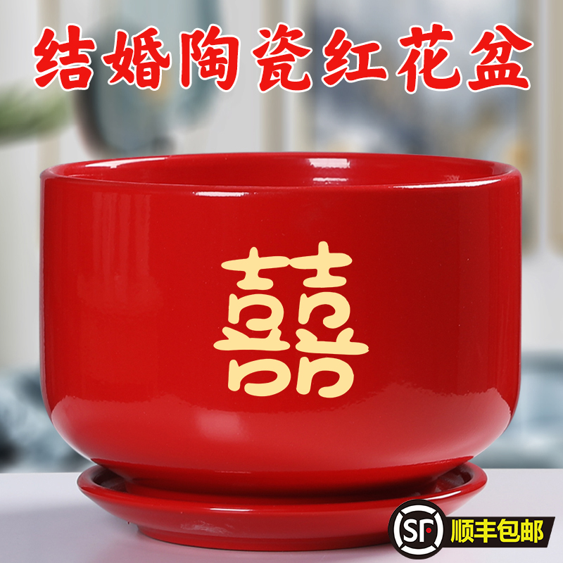 结婚用的喜庆礼物红花盆陶瓷大号特大家用简约带托盘创意绿植盆栽