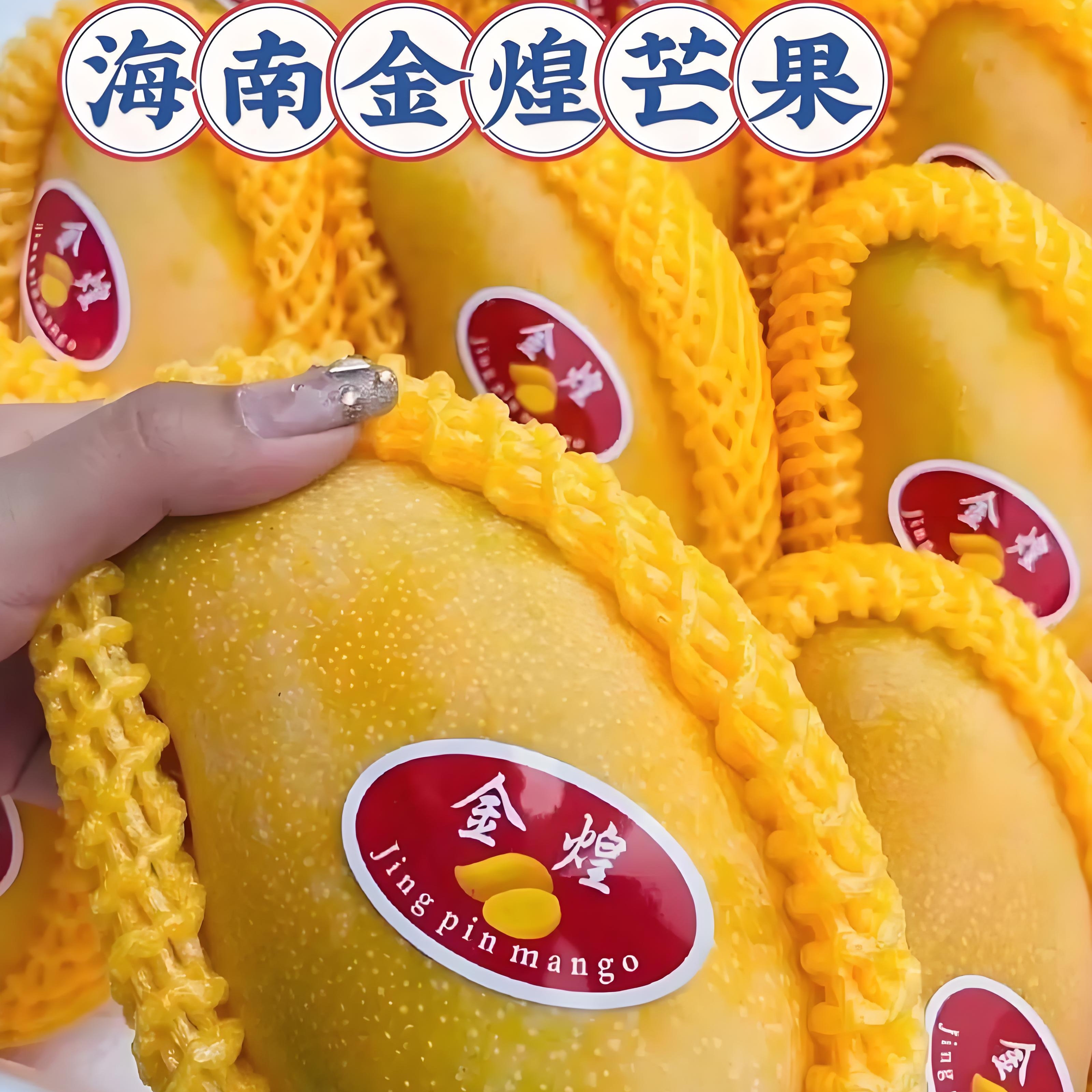 胖妹自家种植海南金煌芒果核薄，无丝甜水份足净重八斤顺丰包邮