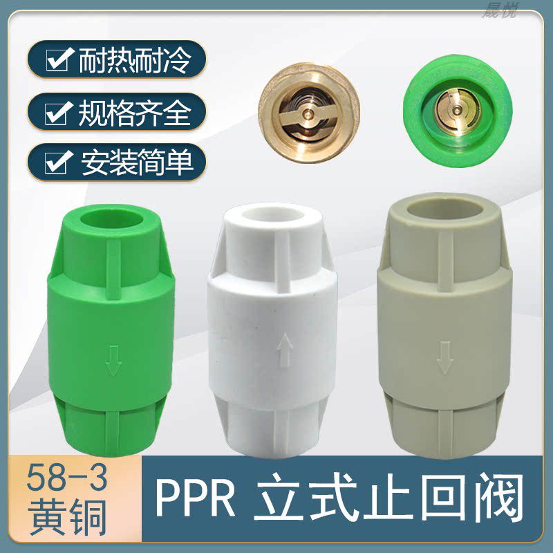 防倒流家装6分高压热熔PPR逆止阀图片
