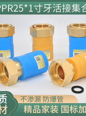 晟悦PPR净热水器活接 铜本色25管*1寸牙前置过滤器直接蓝色黄色