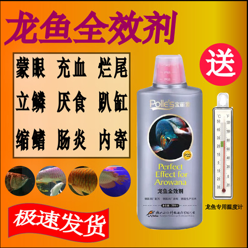 金龙银龙鱼万能全效杀菌白点蒙眼