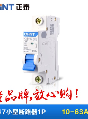 CHNT正泰家用小型空气开关断路器保护器C45DZ471P20A25A32A40A63A