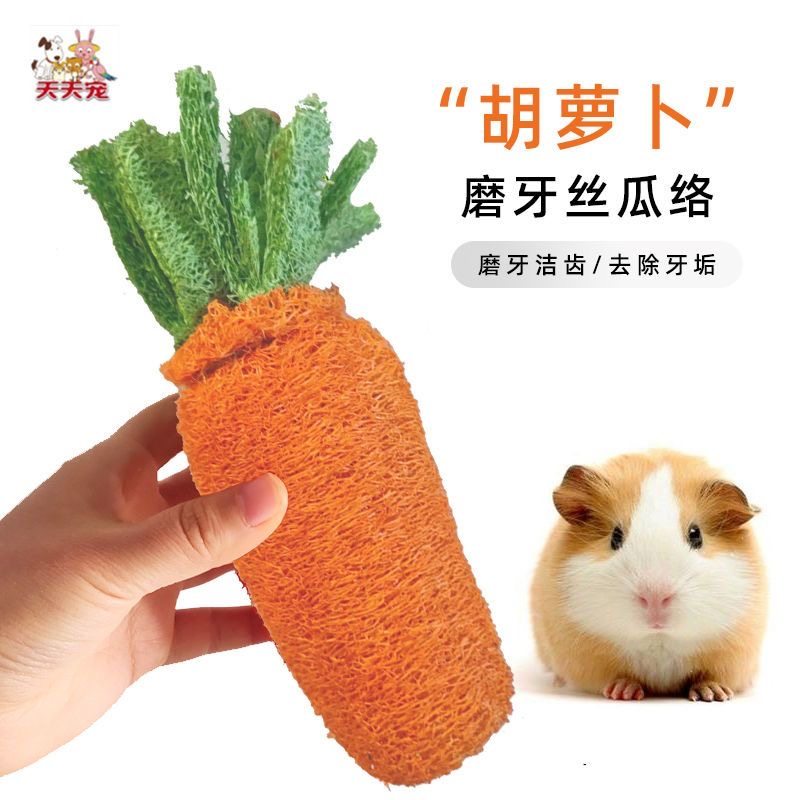 天天宠胡萝卜丝瓜络带绳子兔兔玩具豚鼠龙猫仓鼠磨牙用品啃咬笼子,宠物/宠物食品及用品,玩具/造景装饰,淘宝优惠券,粉丝福利购,淘宝优惠卷