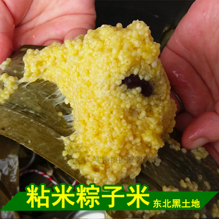 25年新米东北大黄米粘糯小米农家自产包粽子黏黄米黍子软糜子