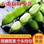 云南新鲜蚕豆5斤农家带壳生本地罗汉兰花胡豆青豆荚蔬菜整箱包邮