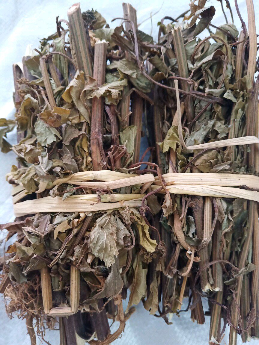 野生中药材接骨草 陆英八棱麻大臭草排风藤走马风七叶莲500克包邮