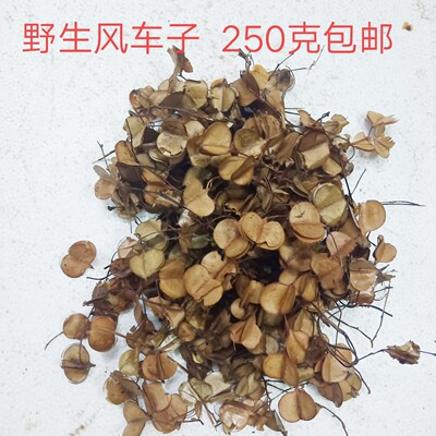 野生风吹叶子异音250克中药材