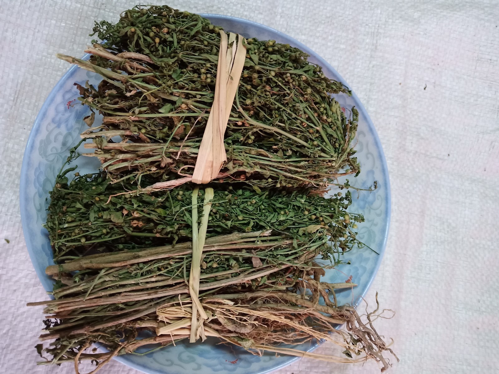 冰糖草/野甘草/珠子草/土甘草/四时茶/通花草/节节珠500克包邮