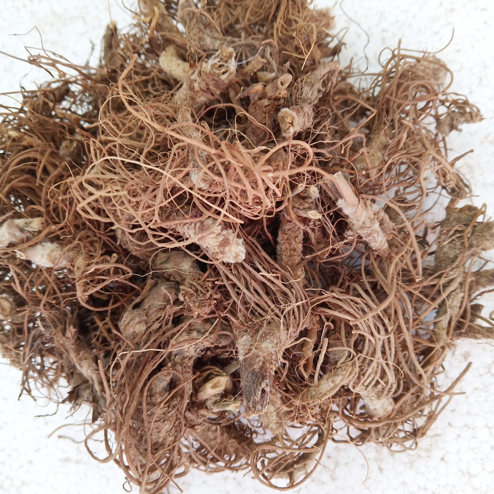 梅州山区中药材苦地胆头根/草药地斩头根/红花地胆头根500克包邮