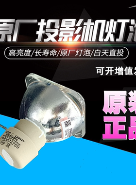 适用理光PJ HD1080 X5300 K5200 WX5460 WX5461 HD5450 HD5800 KW570 X5460 S2160 K5212 HD5808投影机灯泡
