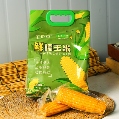 玉贝贝鲜糯玉米产自内蒙古巴彦淖尔微波炉加热即食家庭装手提袋