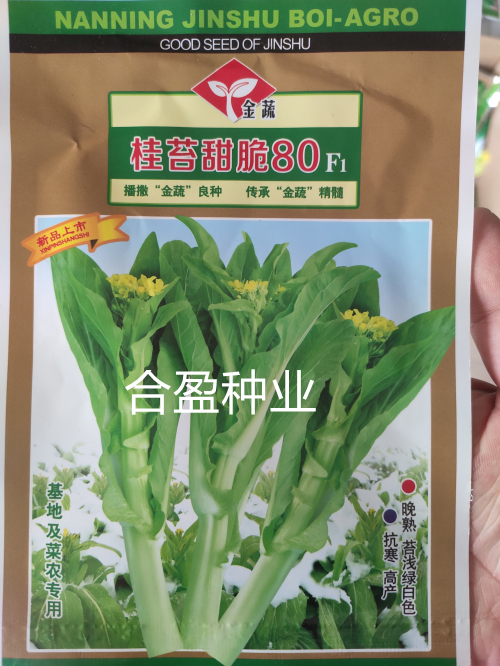 中晚熟甜脆80杂交白菜苔种子金蔬