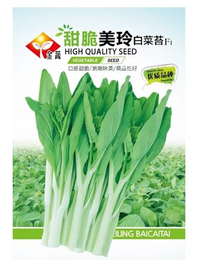 10克金蔬甜脆美玲白菜苔种子杂交一代早熟耐热耐雨尖叶白菜薹种子