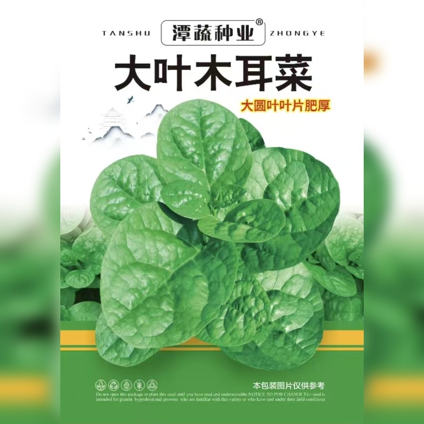 500g广东大叶木耳菜种子大圆叶叶片肥厚耐抽苔高产全年可种鼻涕菜