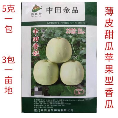 5克中田香妃甜瓜种子杂交梨形薄皮乳白果皮淡黄色银辉香瓜种