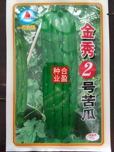 金韩苦瓜10g金船金秀二号油绿苦瓜种子广东油瓜油青苦瓜种子约53