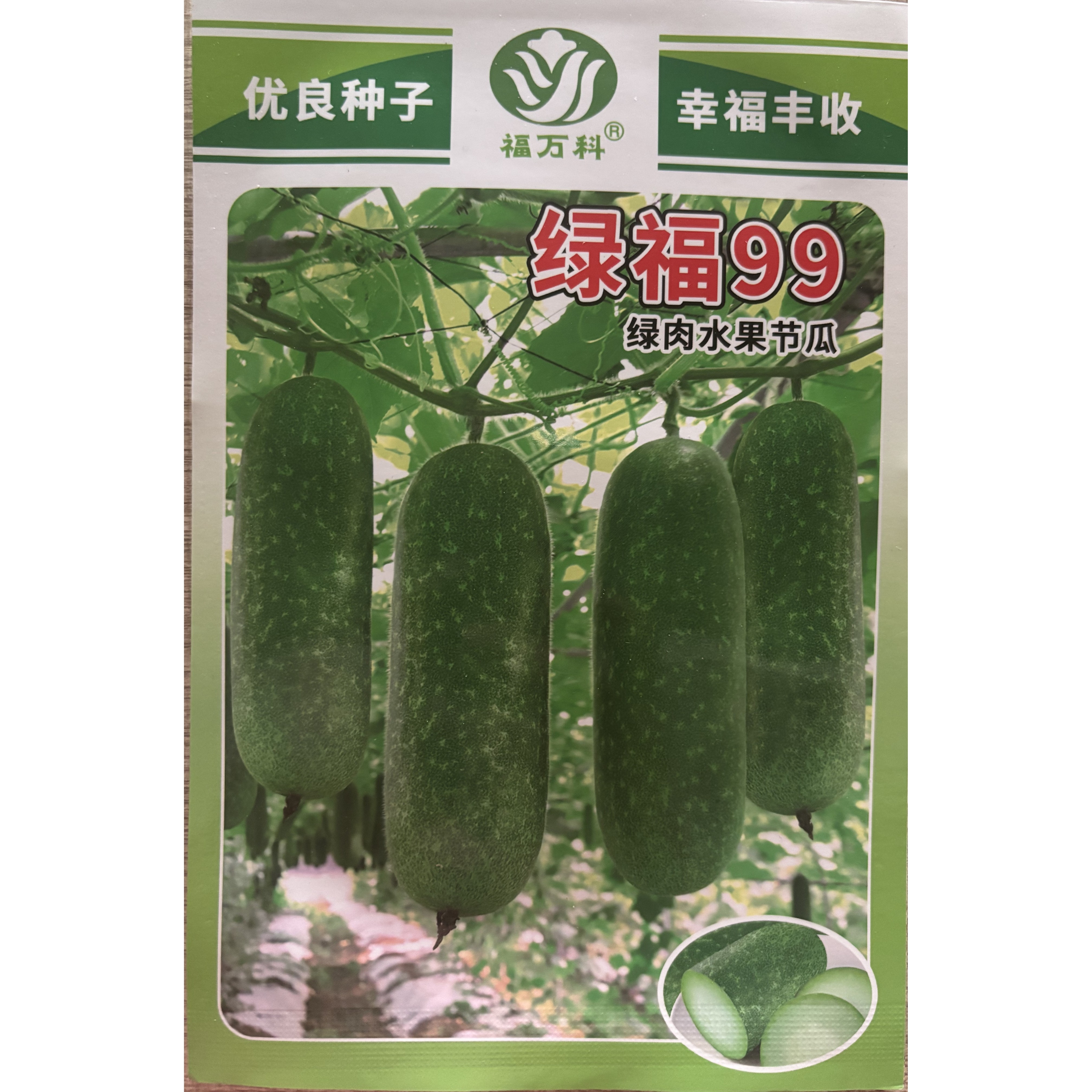 5克福万科绿福99绿肉水果节瓜种子节瓜种子毛节瓜种子