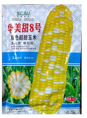 450克广东华南农大华美甜8号金银粟双色玉米金银超甜玉米种子鲜食