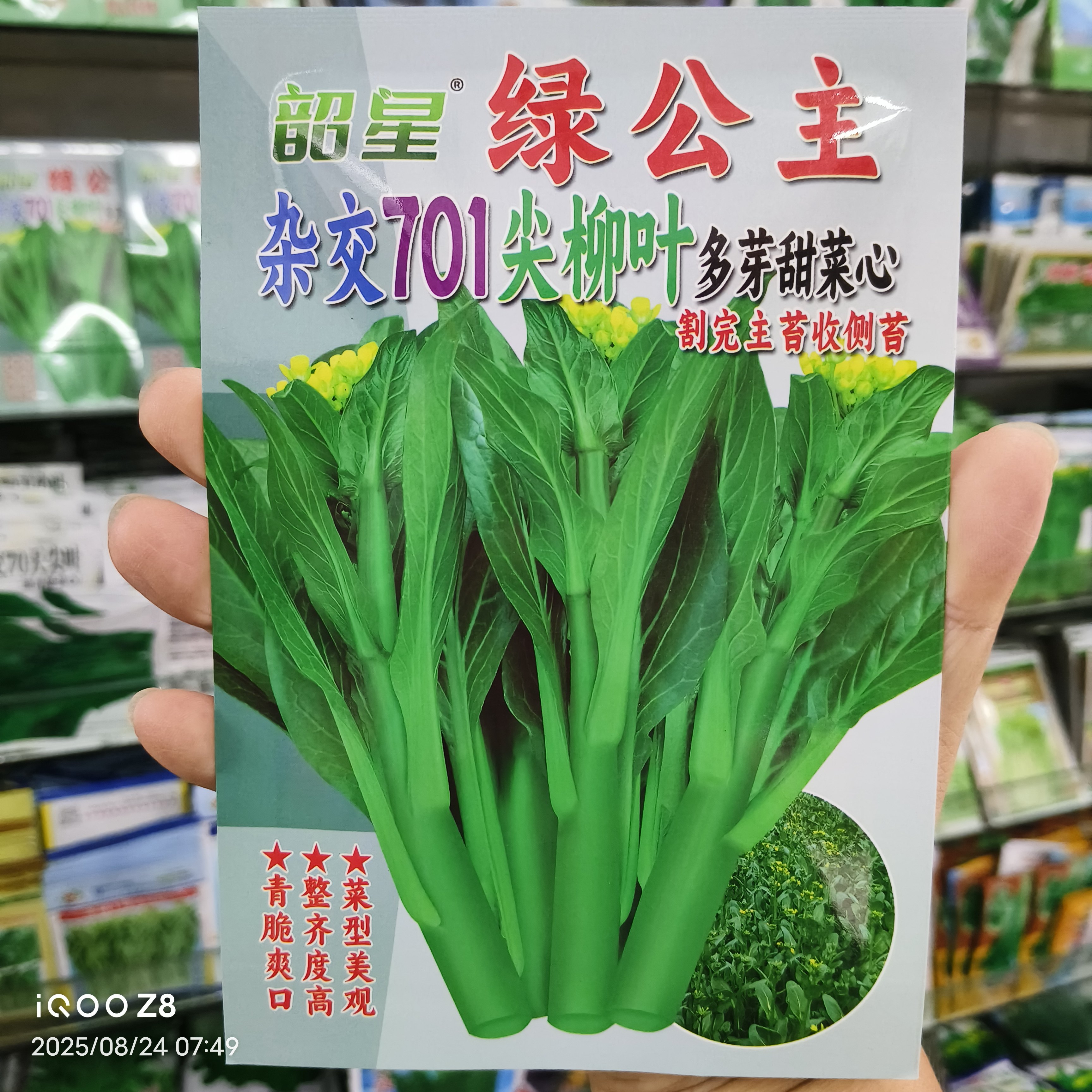 50克韶星绿公主杂交701尖柳叶多芽甜菜心种子多侧芽梗粗色绿高产