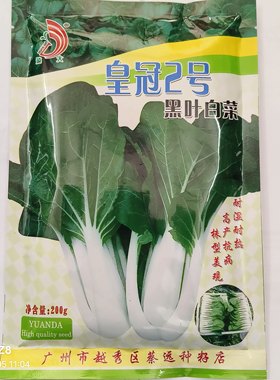 200克远大皇冠2号黑叶白菜种子杂交广白种子耐热耐湿直立性好