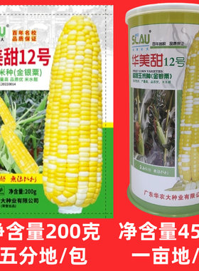 450克华南农大华美甜12号超甜玉米种子杂交金银粟黄白粒玉米种子